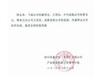 �Ĵ�BBIN��ӯ���Ź��ڶ���ҵ��ҵת�����������������Ļ������Ա���ľ���